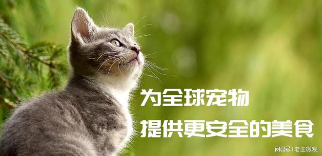 心品质引领宠物食品新风尚开元ky棋牌汉欧宠物：匠(图2)