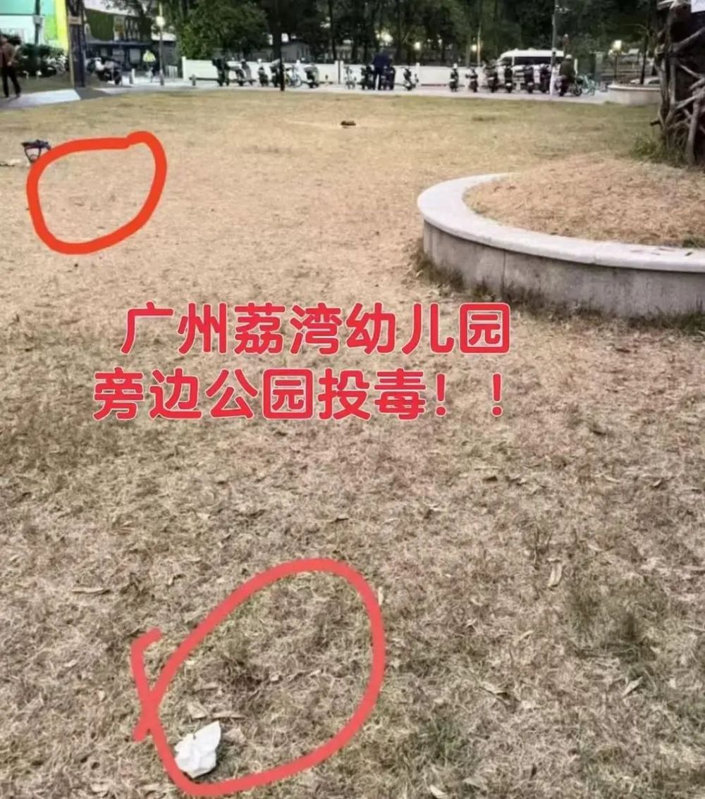 疑似中毒死亡！当地通报→开元棋牌超40只